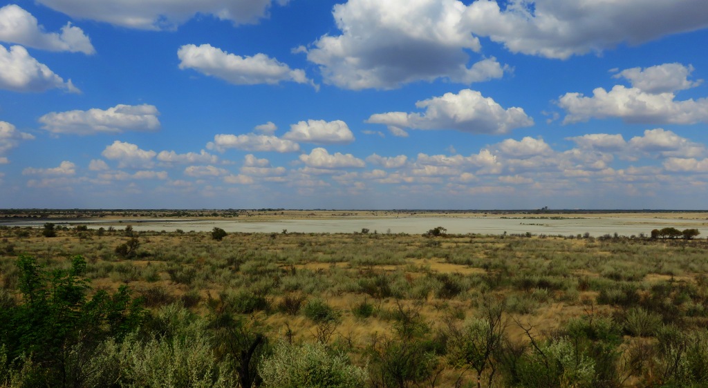Stella salt pan